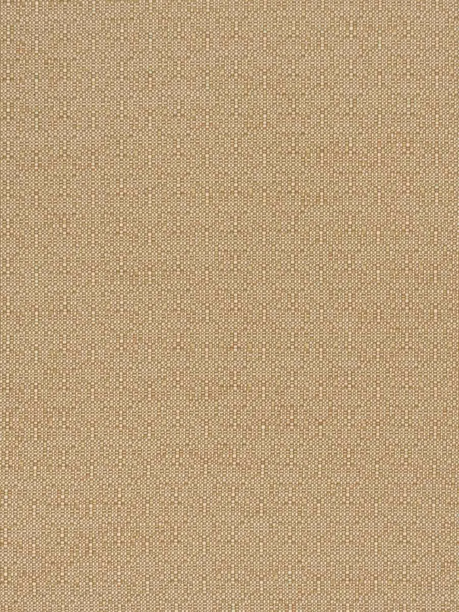 Ajit - Saffron