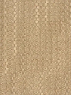 Ajit - Saffron