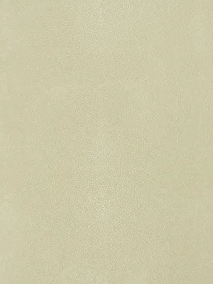 Canberra - Metallic pearl