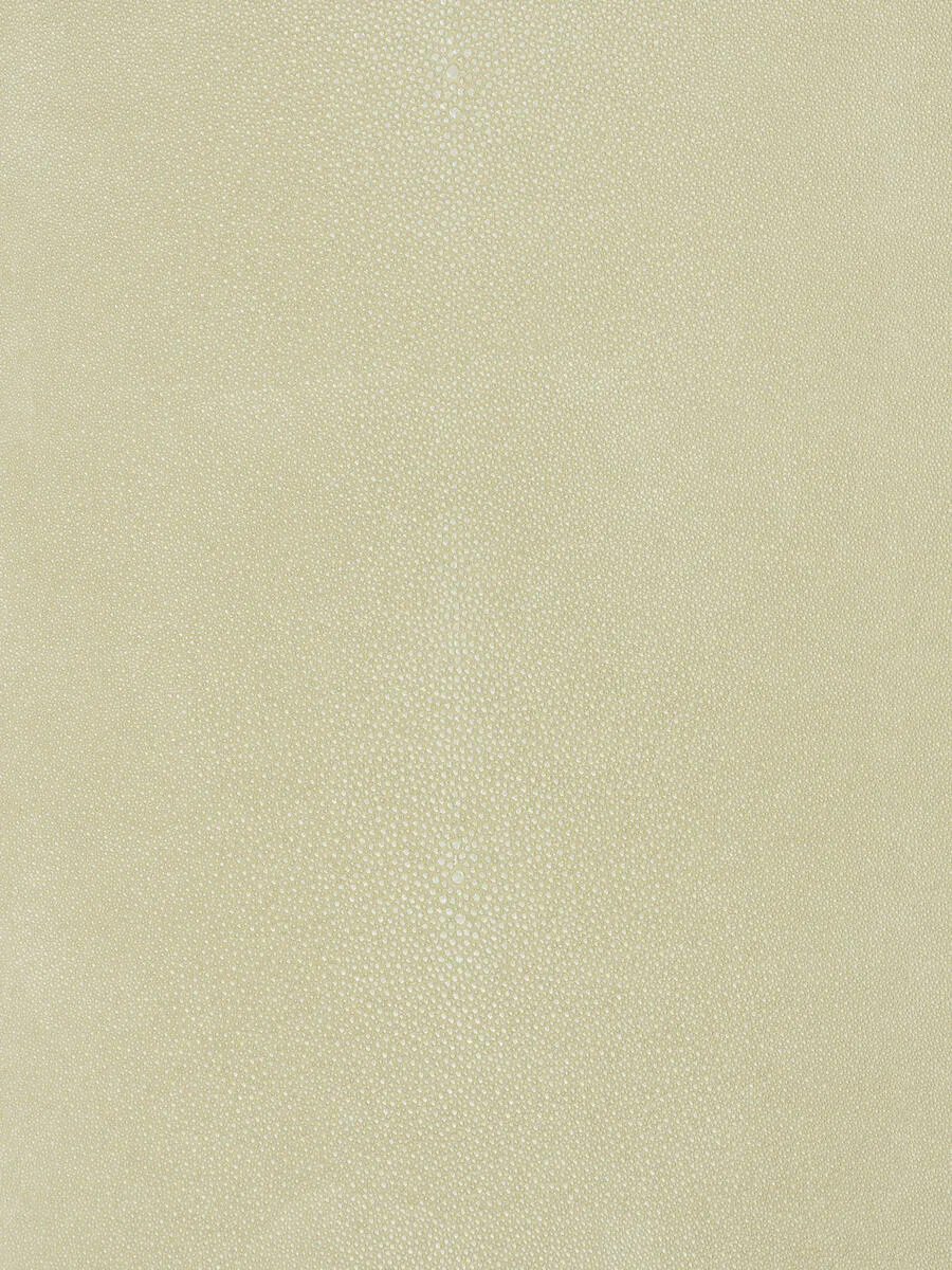 Canberra - Metallic pearl