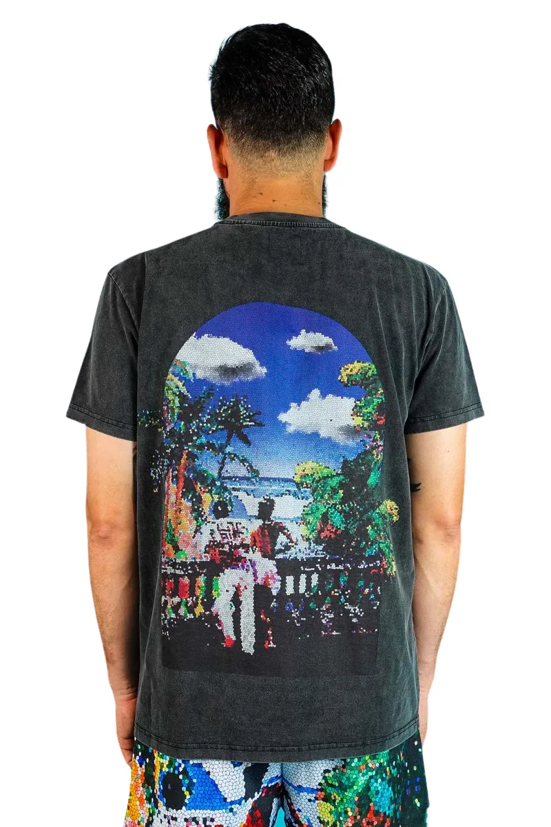 Dry Rot Stain Glass Black Tee