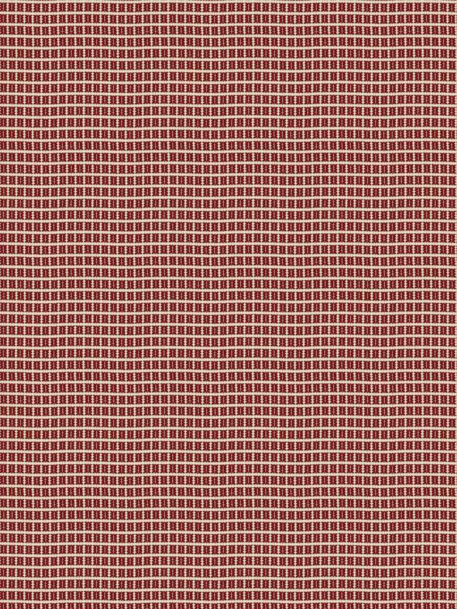 Ishita - Ribbon