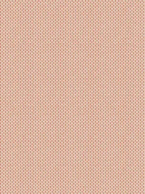 Mehar - Guava