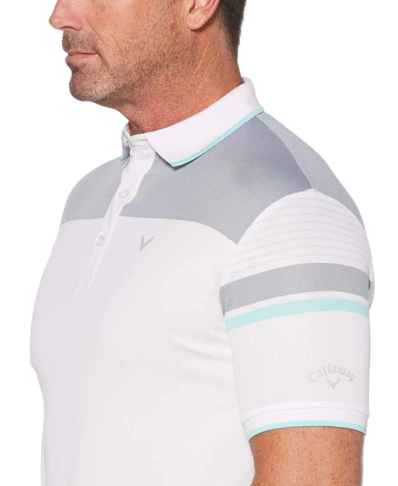 Mens Engineered Stripe Birdseye Polo