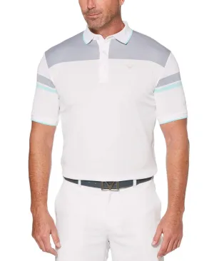 Mens Engineered Stripe Birdseye Polo