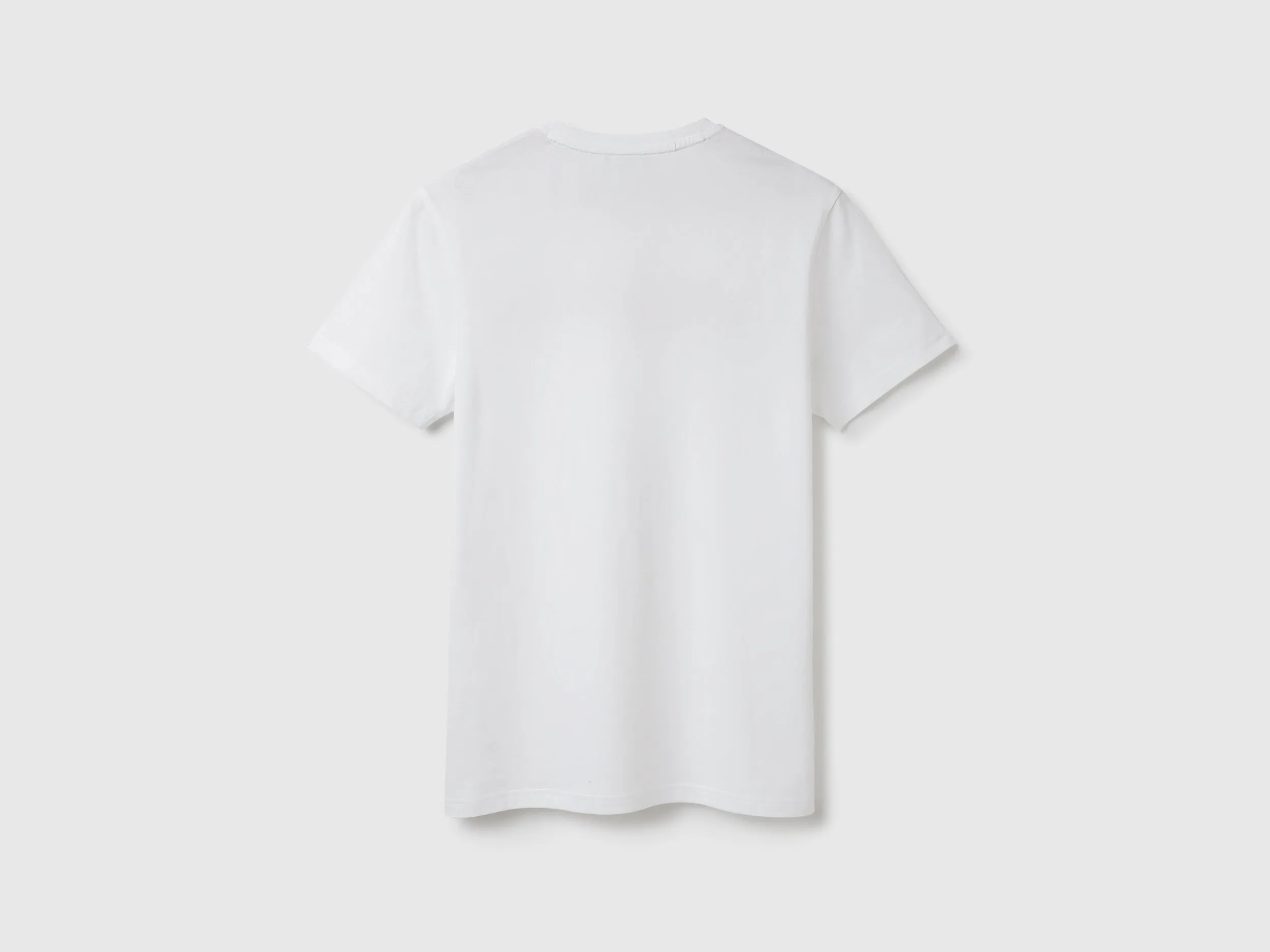 Regular Fit Crew Neck Embroidered T Shirt